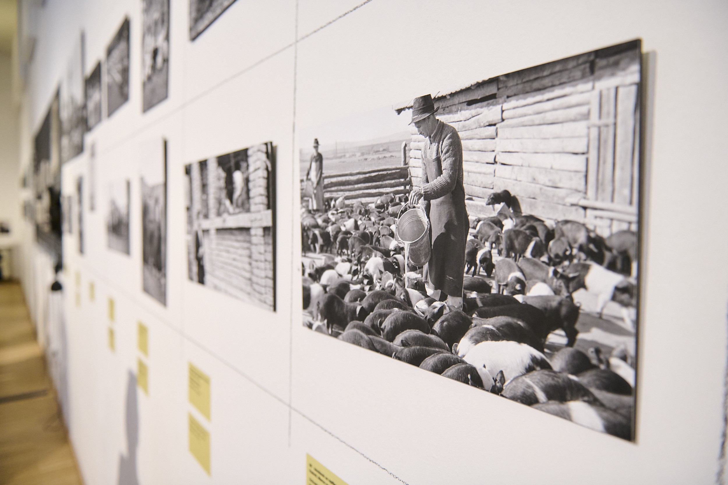 Hu Osa 478 1 1 06 23 02