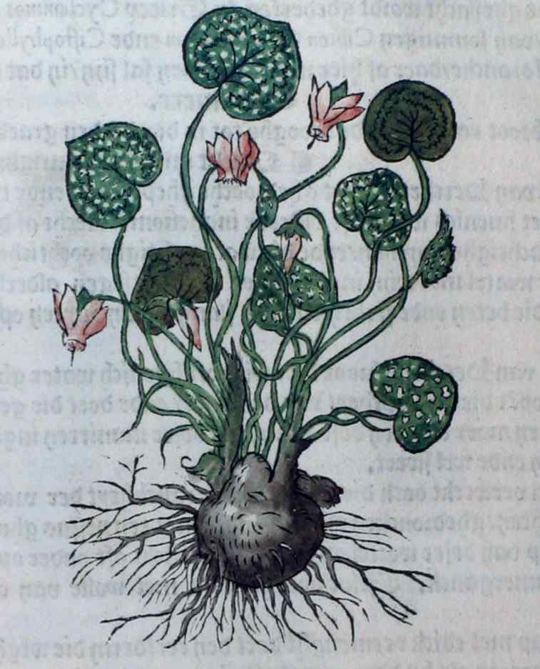 00358 0
