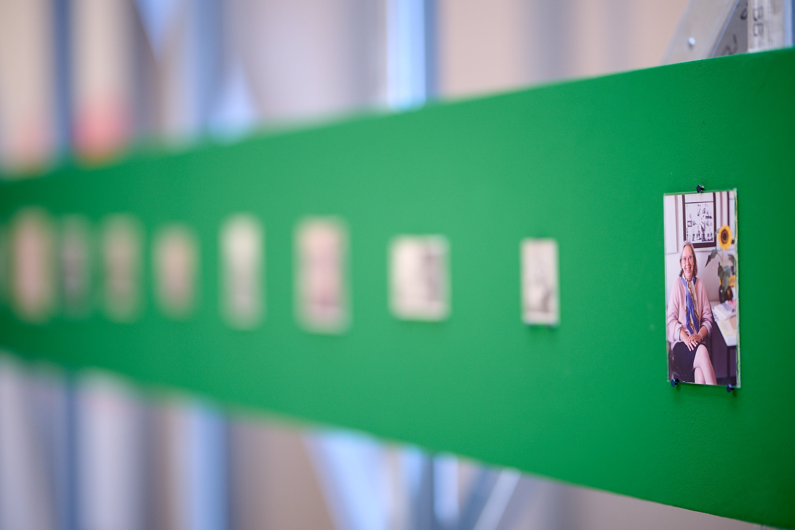 Vegeldaniel Com 20260115114545a